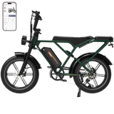 RCB G19 Elektrofahrrad für Erwachsene (RCB App & NFC E Bike)