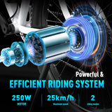 HITWAY BK15 3.0 Fettreifen Elektrofahrrad