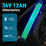 HITWAY BK7S Elektrofahrrad